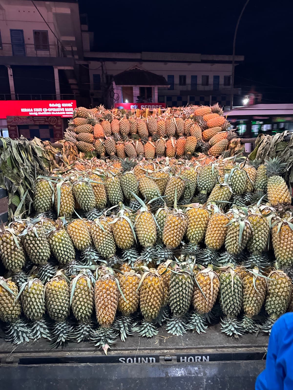 Vazhakulam pineapple plantation